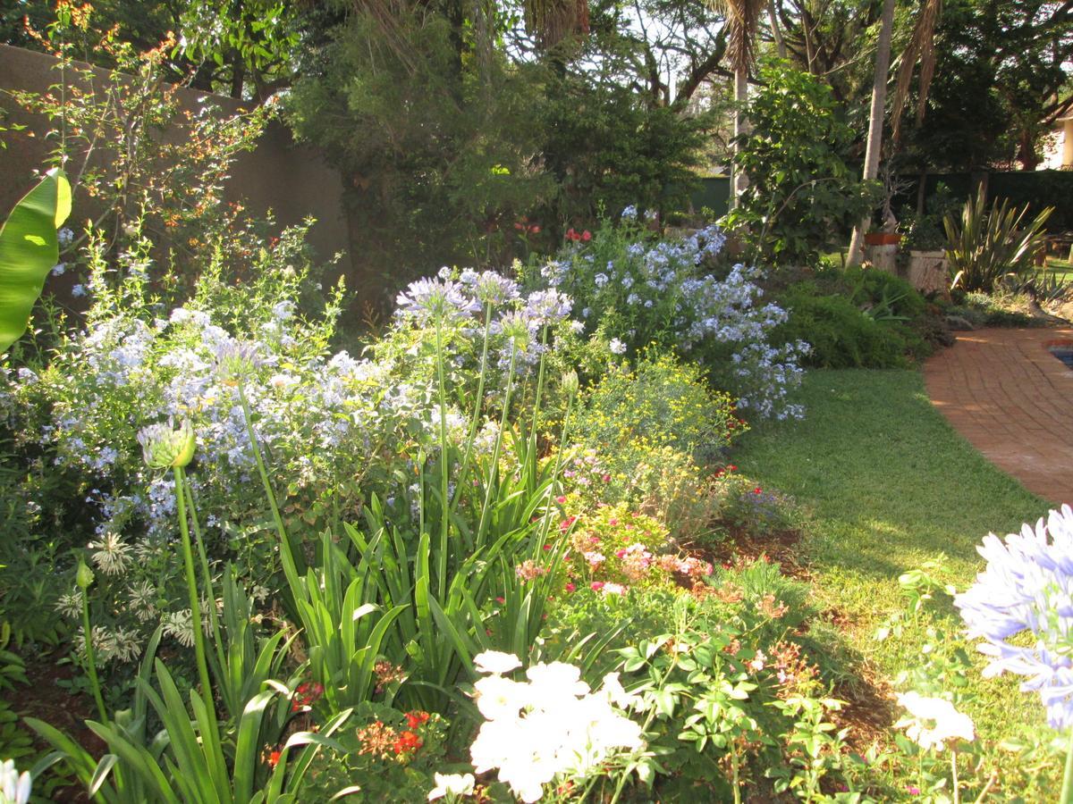 Bed and Breakfast 12 Fleetwood Harare Zewnętrze zdjęcie